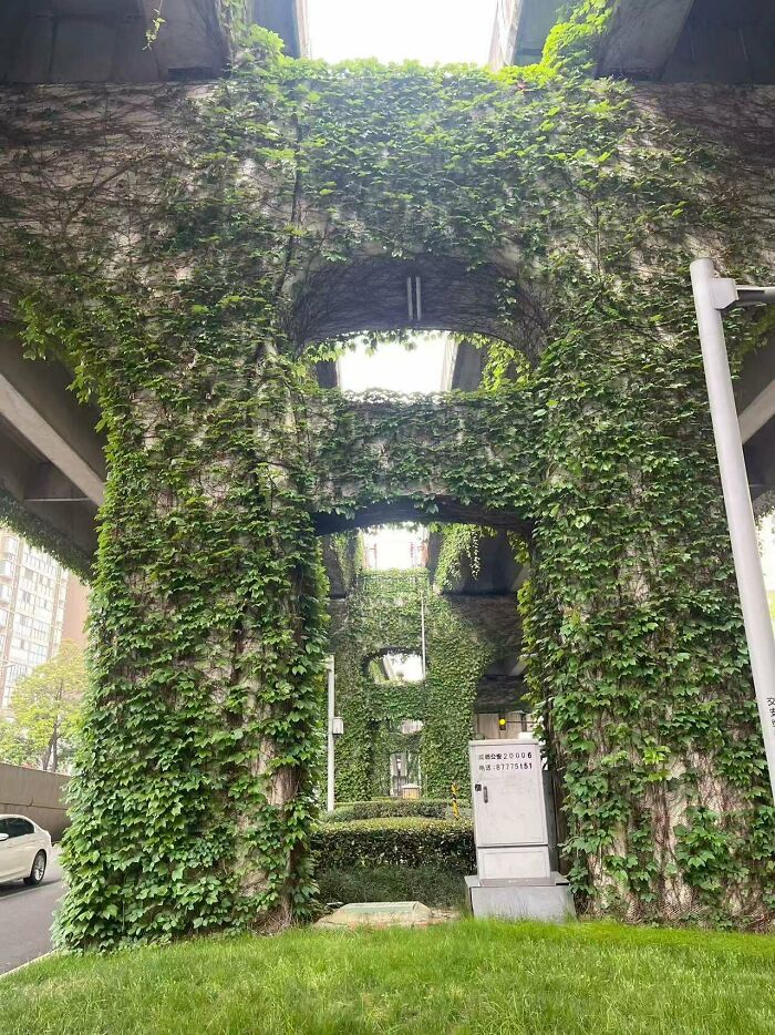 Greening Under Overpasses? Here’s What We Found In Chengdu