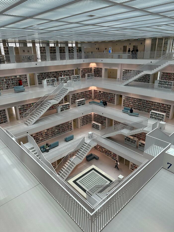 The Stuttgart Library: Calm And Cool