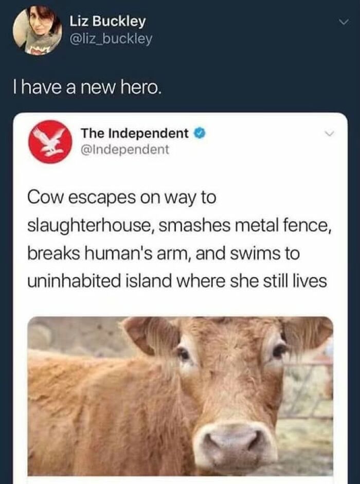 I Just Found My New Everyday Hero