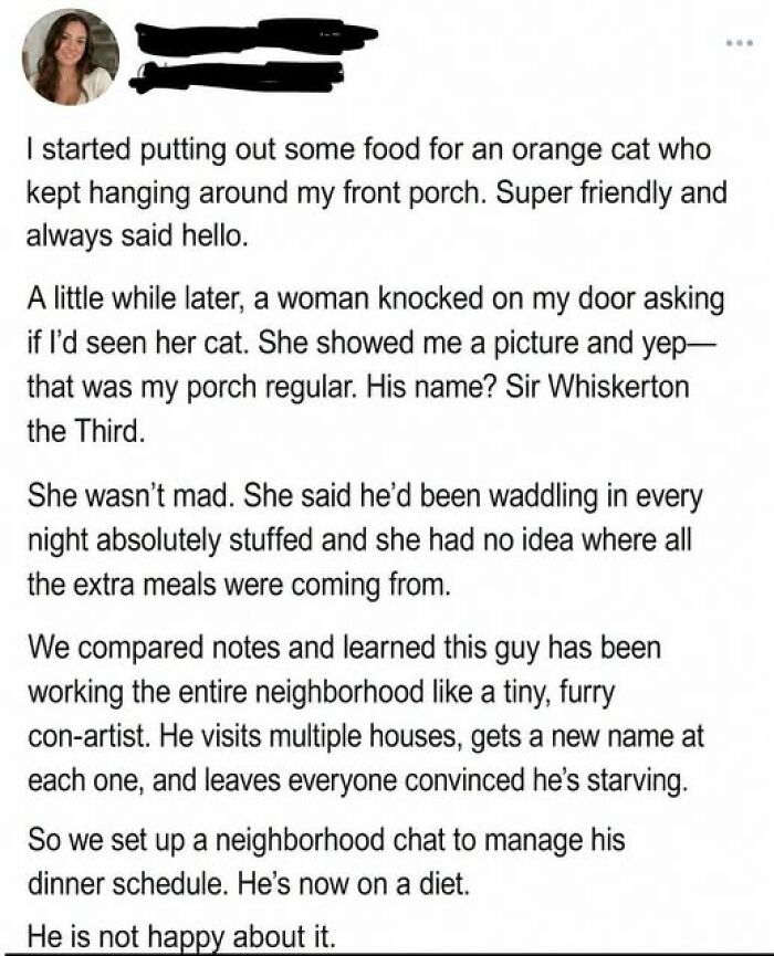 A Cat Who Just Gets It