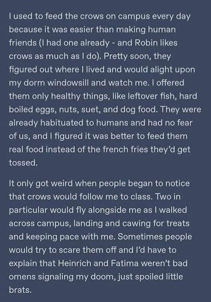 I Used To Feed The Crows And They Don’t Forget
