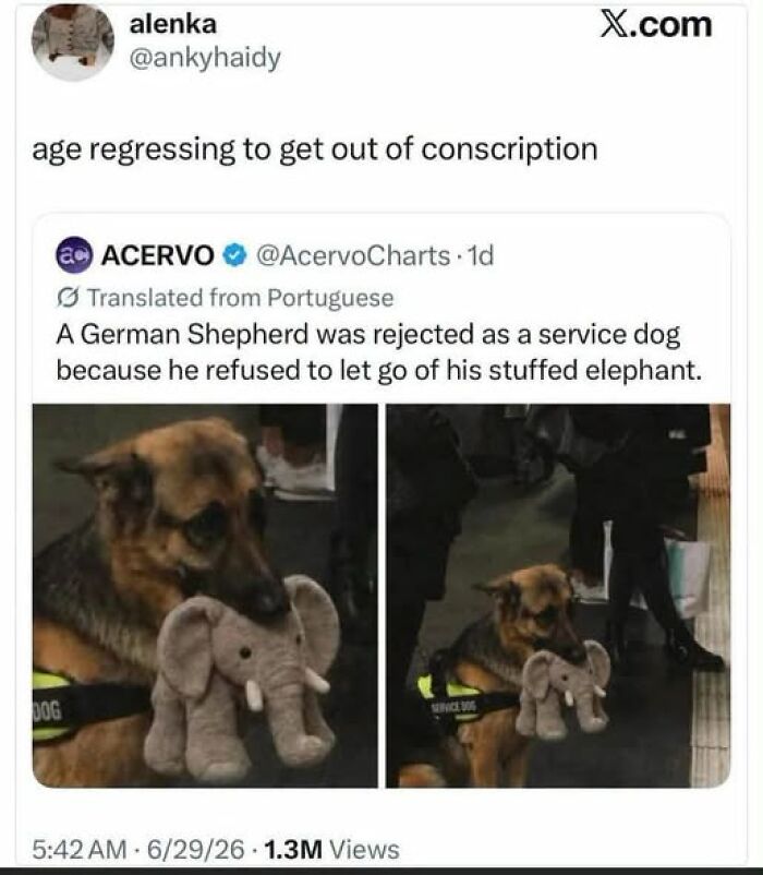 Trying To Skip Conscription By Acting Younger? Comedy Gold.