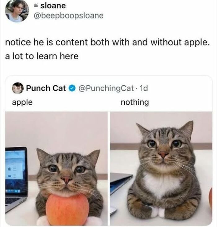 Notice How He’s Chill With Or Without His Apple. Wise Dude.