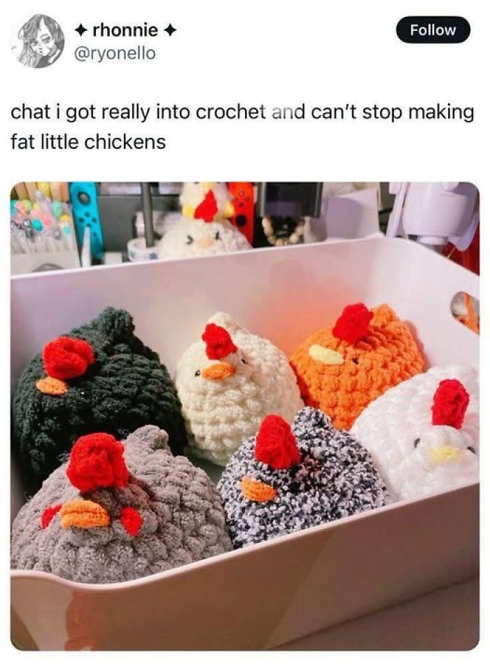 Fat Little Chickens Doing Their Thing