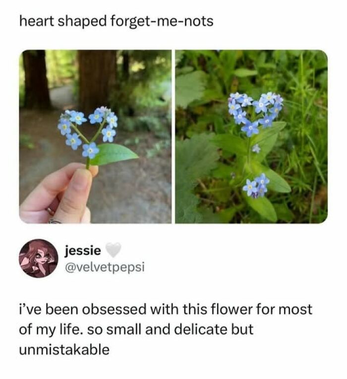 Heart Shaped Everything And I’m Not Complaining