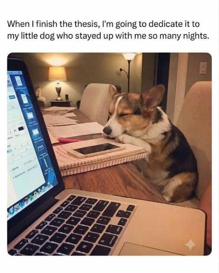 When I Finish The Thesis, This Will Be Me