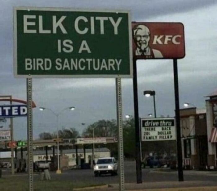 Hmm... Not Sure What They Were Thinking