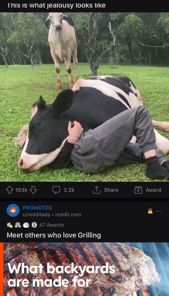 So Tender... Or So Awkward?
