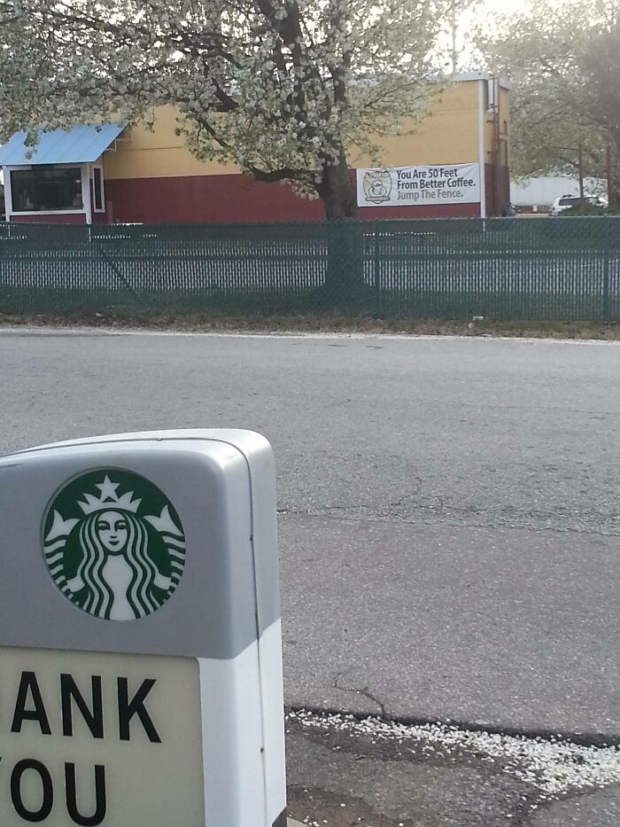 Best Ad Placement of All Time? Possibly!