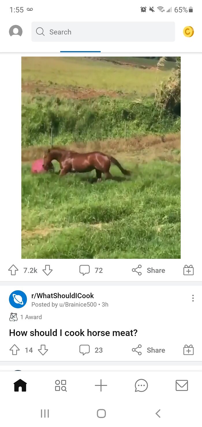 Not Cool, Reddit! This Ad's a Whose-Whoa