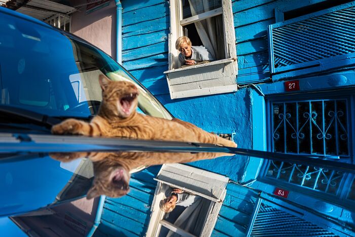 47 Street Photos That Nailed The Perfect Moment (You Won't Believe #23)
