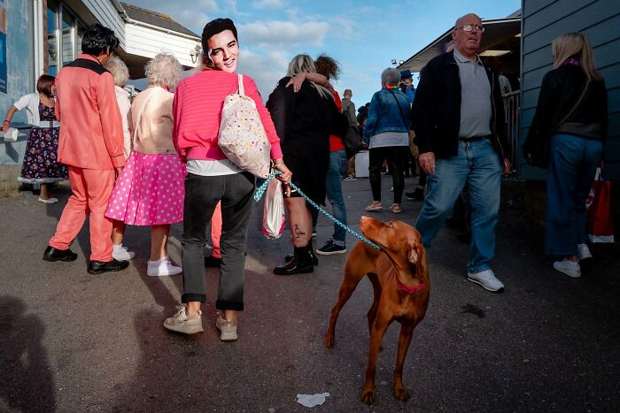 47 Street Photos That Nailed The Perfect Moment (You Won't Believe #23)