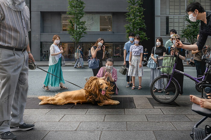47 Street Photos That Nailed The Perfect Moment (You Won't Believe #23)