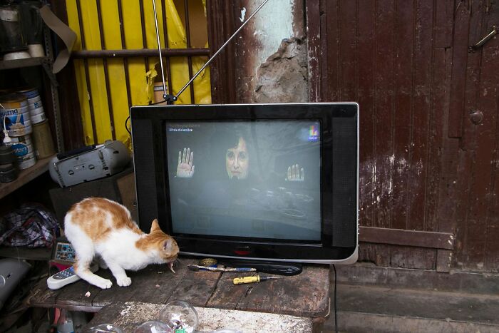 47 Street Photos That Nailed The Perfect Moment (You Won't Believe #23)