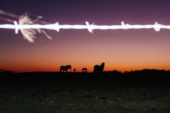47 Street Photos That Nailed The Perfect Moment (You Won't Believe #23)