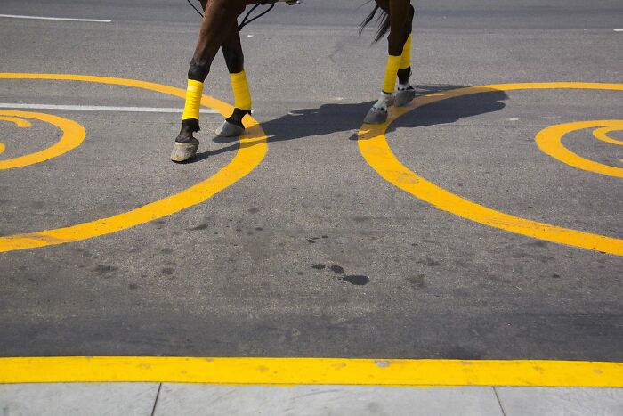 47 Street Photos That Nailed The Perfect Moment (You Won't Believe #23)