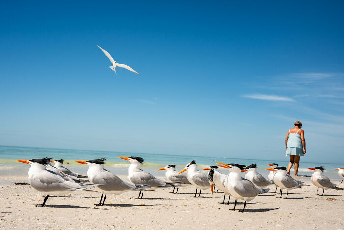 47 Street Photos That Nailed The Perfect Moment (You Won't Believe #23)