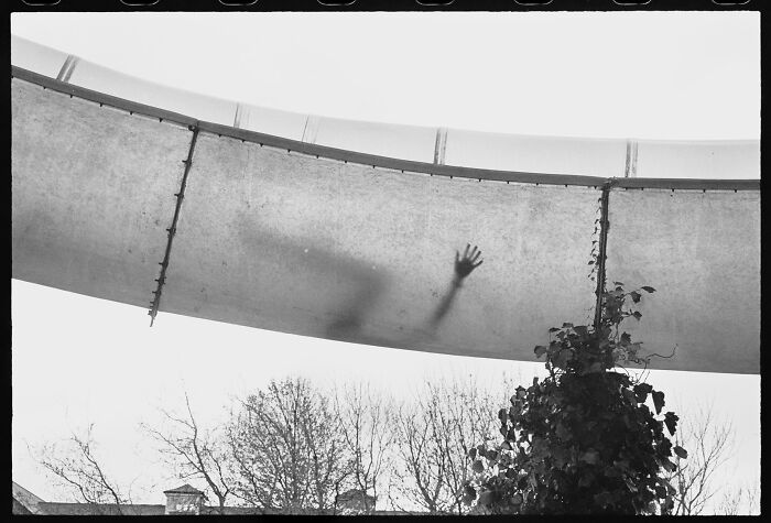 47 Street Photos That Nailed The Perfect Moment (You Won't Believe #23)