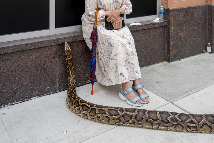 47 Street Photos That Nailed The Perfect Moment (You Won't Believe #23)