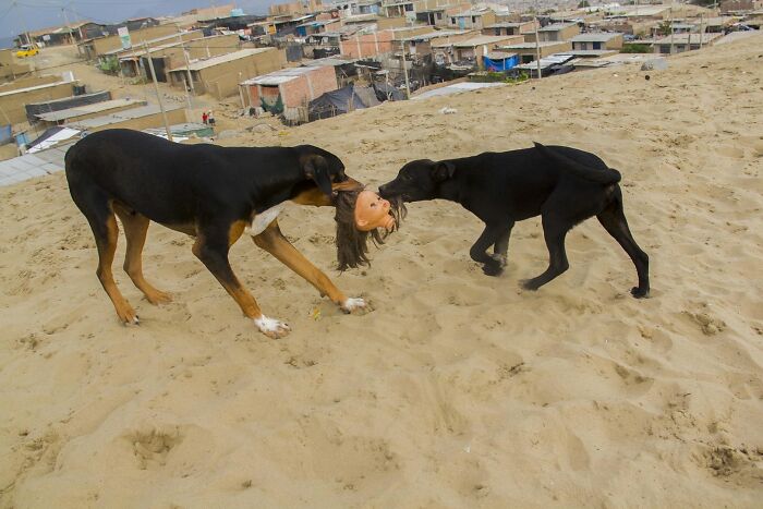 47 Street Photos That Nailed The Perfect Moment (You Won't Believe #23)