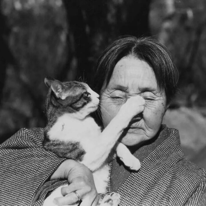 Wait, Vintage Cats Were This Cute? 30 Old Photos That’ll Melt Your Heart