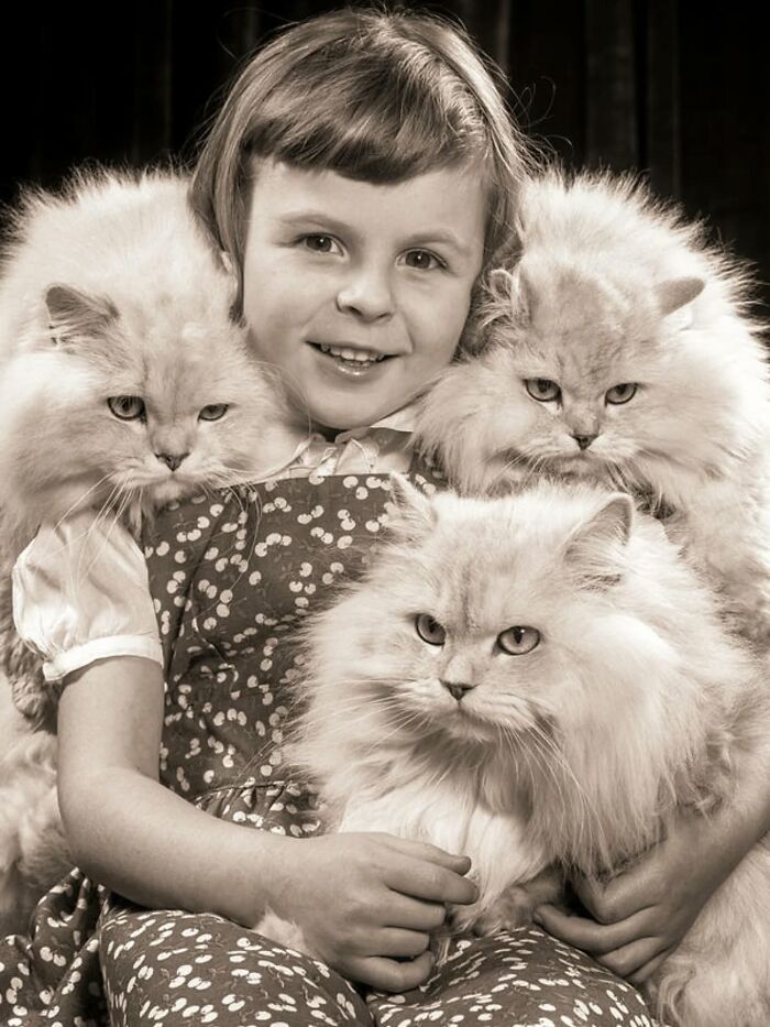 Wait, Vintage Cats Were This Cute? 30 Old Photos That’ll Melt Your Heart