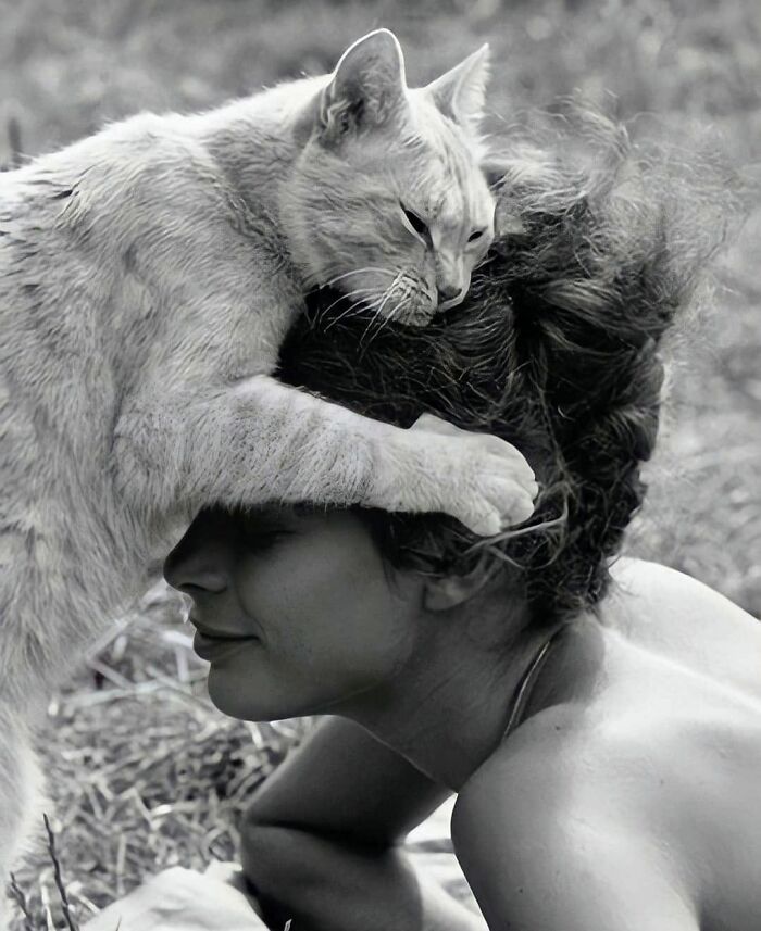 Wait, Vintage Cats Were This Cute? 30 Old Photos That’ll Melt Your Heart