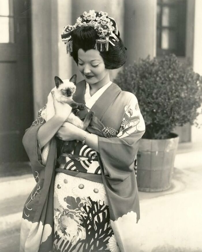 Wait, Vintage Cats Were This Cute? 30 Old Photos That’ll Melt Your Heart