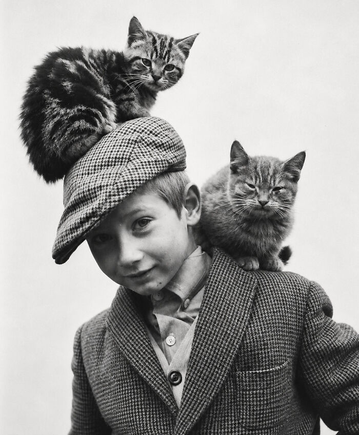 Wait, Vintage Cats Were This Cute? 30 Old Photos That’ll Melt Your Heart