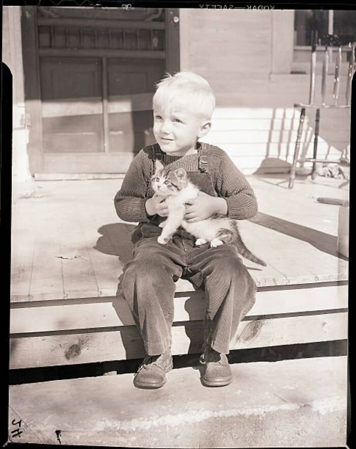 Wait, Vintage Cats Were This Cute? 30 Old Photos That’ll Melt Your Heart
