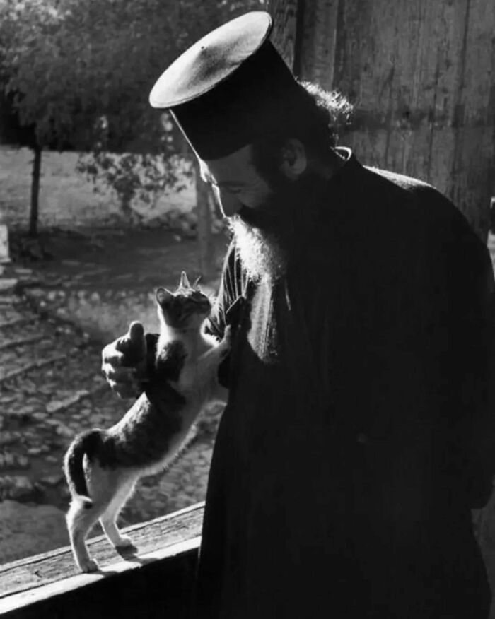 Wait, Vintage Cats Were This Cute? 30 Old Photos That’ll Melt Your Heart