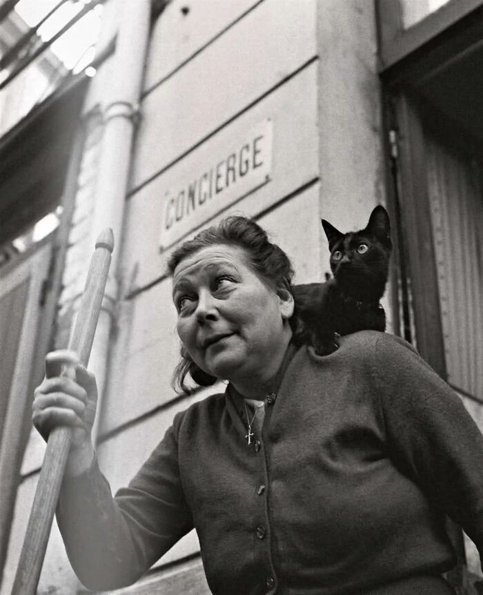 Wait, Vintage Cats Were This Cute? 30 Old Photos That’ll Melt Your Heart