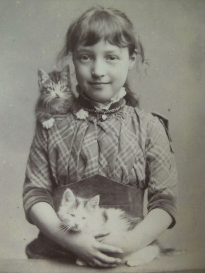 Wait, Vintage Cats Were This Cute? 30 Old Photos That’ll Melt Your Heart