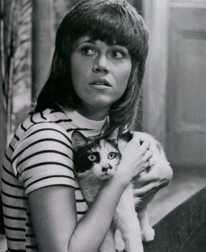 Wait, Vintage Cats Were This Cute? 30 Old Photos That’ll Melt Your Heart