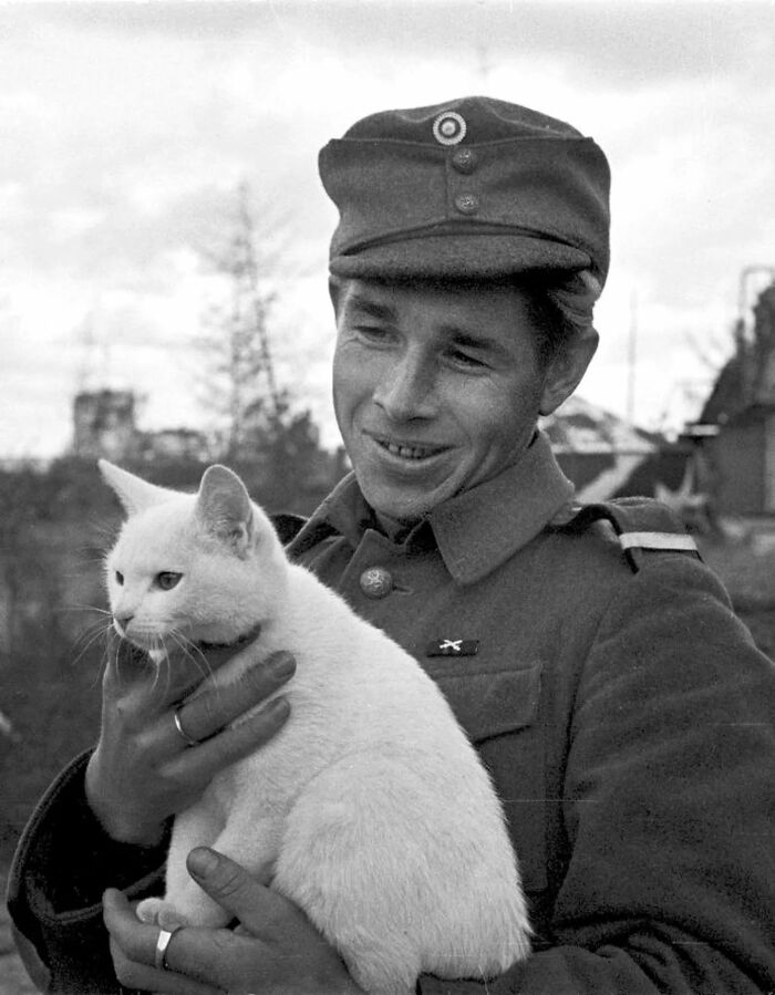 Wait, Vintage Cats Were This Cute? 30 Old Photos That’ll Melt Your Heart