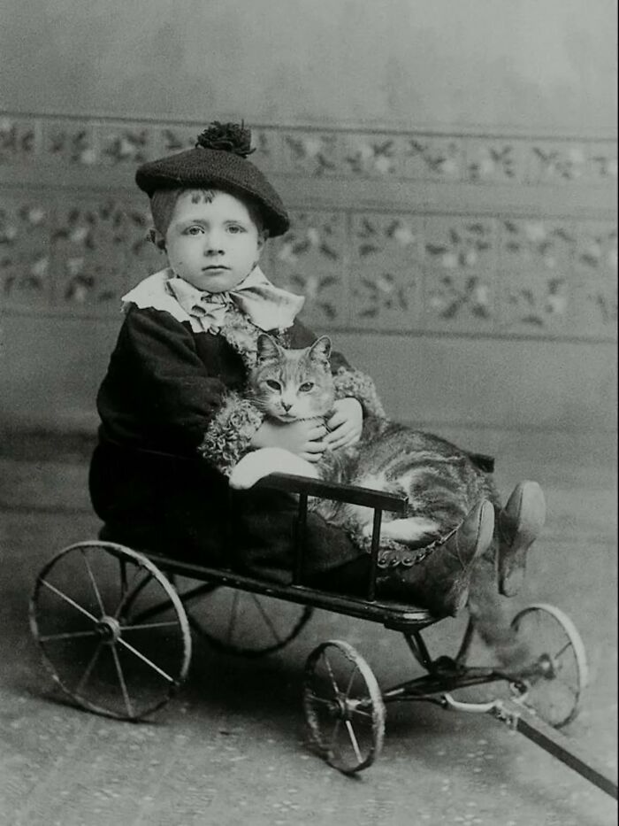 Wait, Vintage Cats Were This Cute? 30 Old Photos That’ll Melt Your Heart