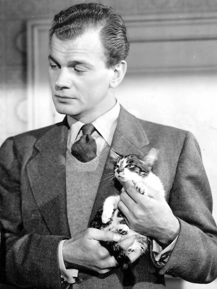 Wait, Vintage Cats Were This Cute? 30 Old Photos That’ll Melt Your Heart
