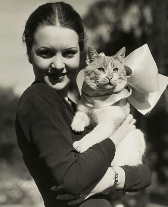 Wait, Vintage Cats Were This Cute? 30 Old Photos That’ll Melt Your Heart