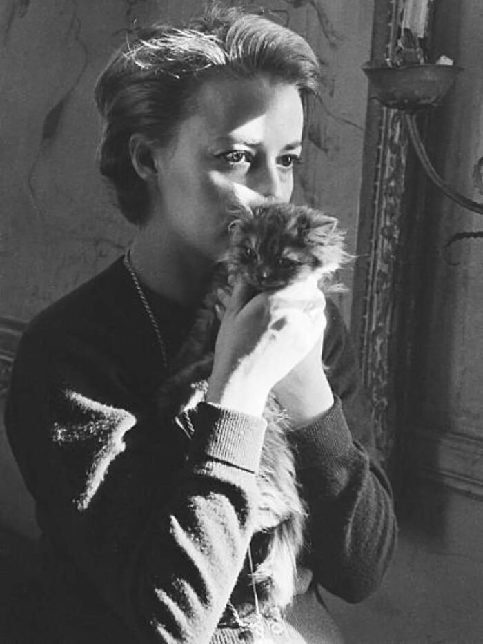 Wait, Vintage Cats Were This Cute? 30 Old Photos That’ll Melt Your Heart