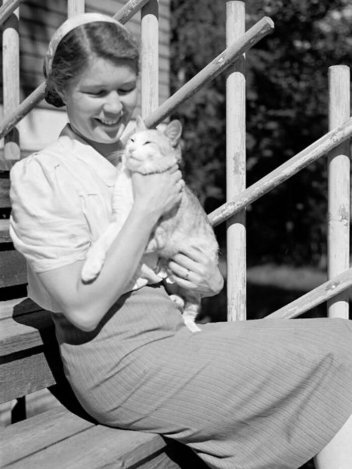 Wait, Vintage Cats Were This Cute? 30 Old Photos That’ll Melt Your Heart