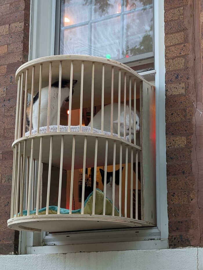 First Project Ever: A Window Box For The Cats (Because Why Not?)