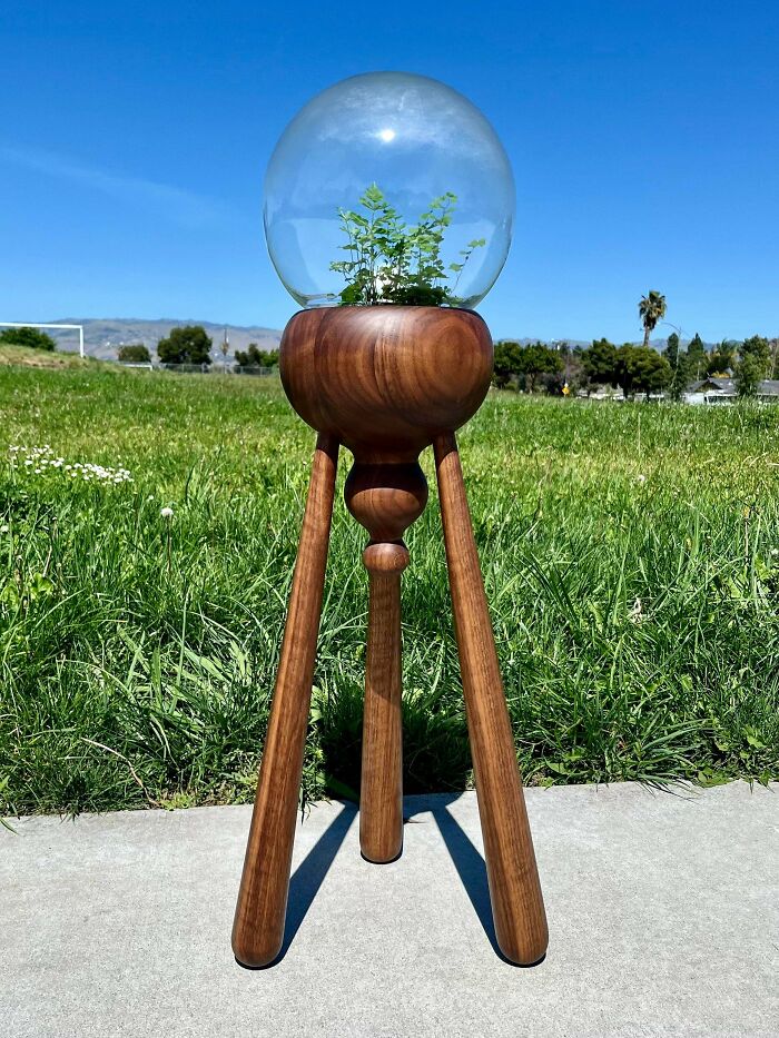 Made A Walnut Terrarium Stand For My Green Thumb Friends