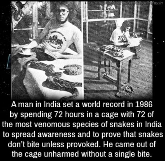 A Man Who Froze in a Snake Cage for 72 Hours