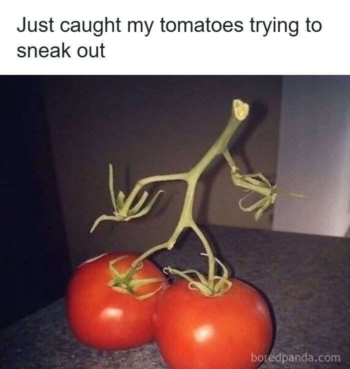 Wait, These Pics Got Weirder By The Second!