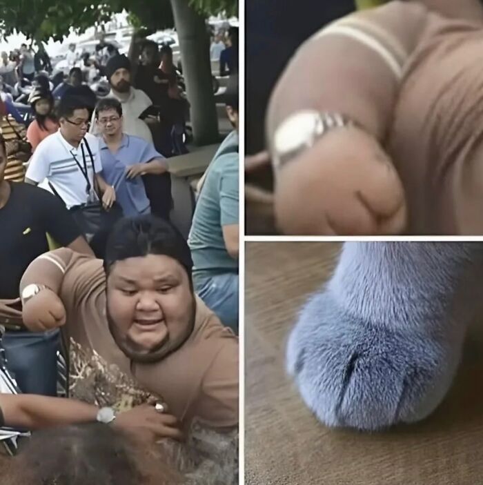 Wait, These Pics Got Weirder By The Second!