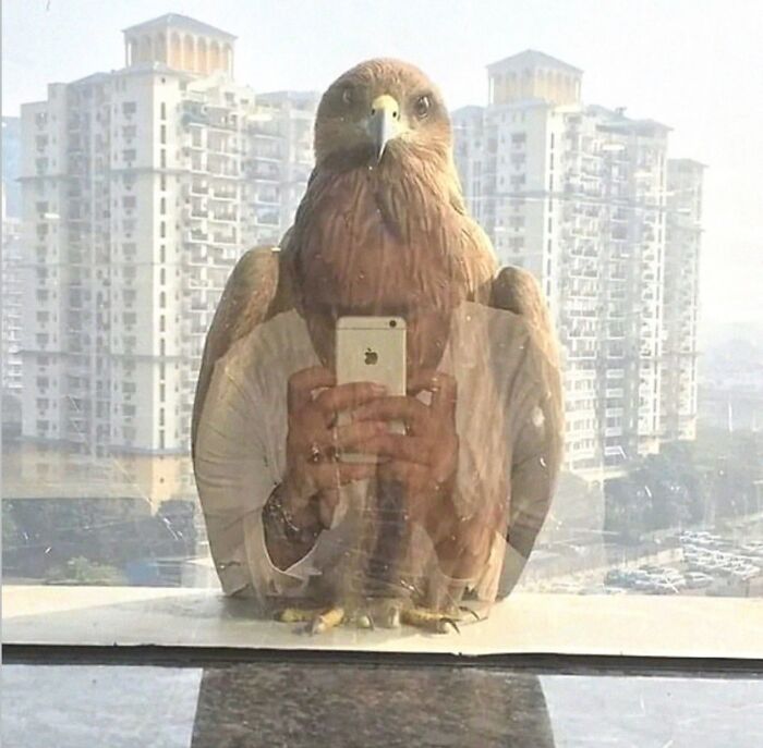 Wait, These Pics Got Weirder By The Second!