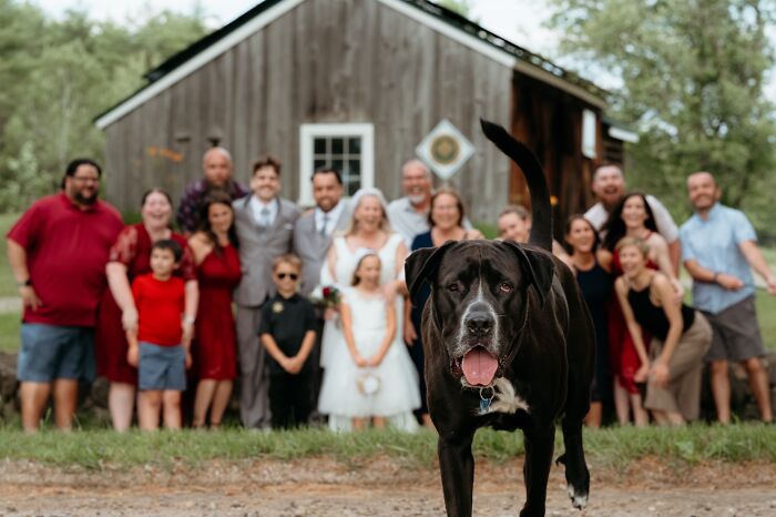 When A Photobomb Locks In The Perfect Moment