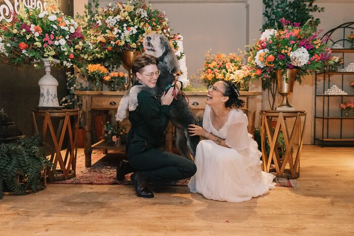 Our Dog Totally Stole The Show