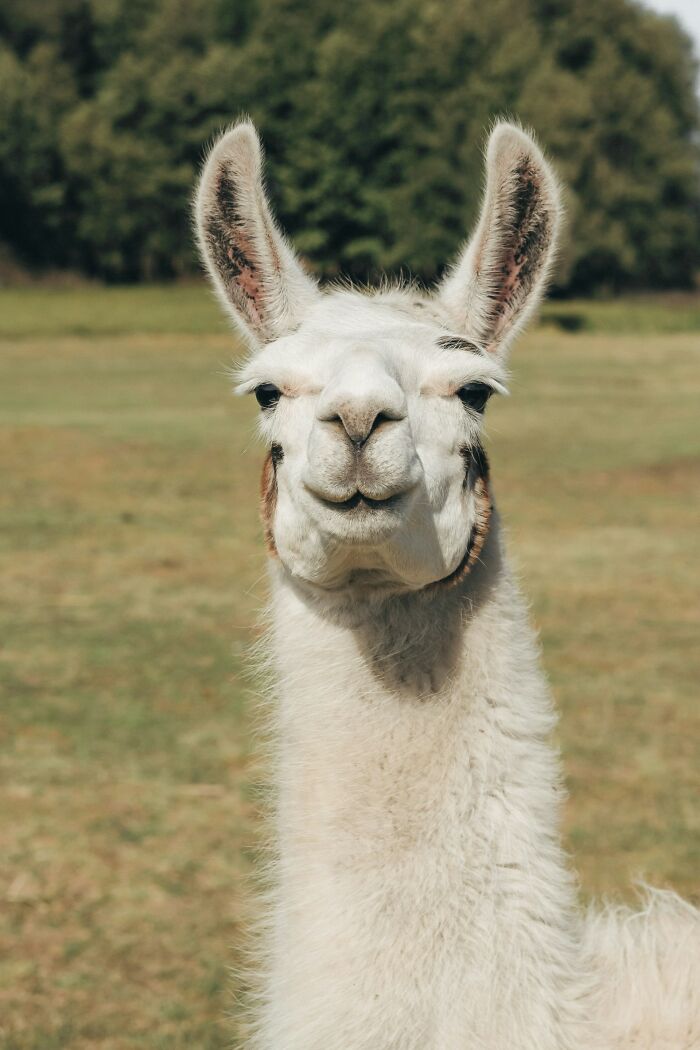 Wait Until You Hear These 30 Instant Karma Stories That’ll Crack You Up