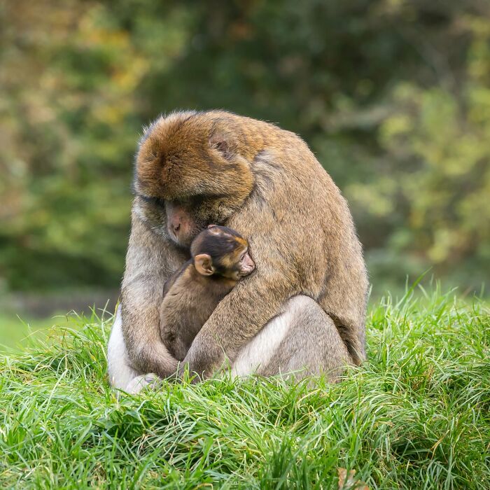 40 Animal Pics That'll Totally Make Your Day (Seriously, You'll Smile)